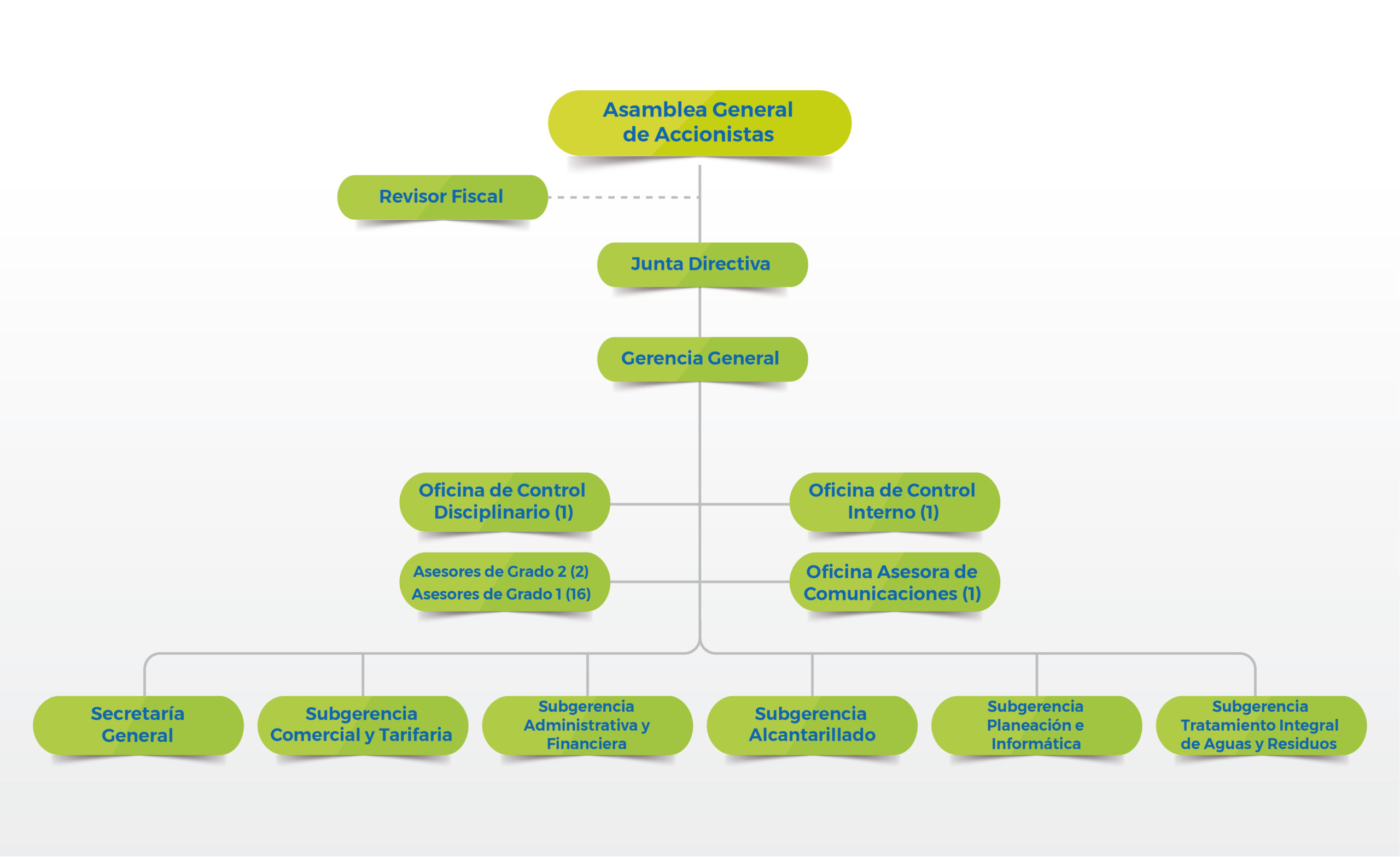 estructura organizacional 2022