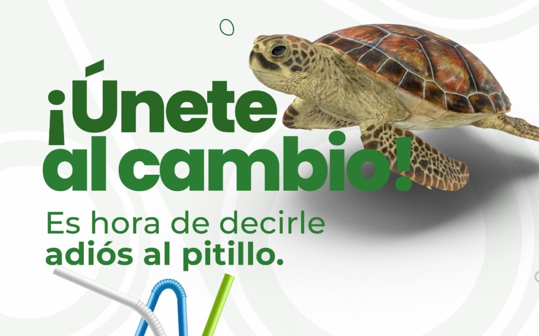 Día Mundial Sin Pitillo: EMPAS sensibiliza sobre el impacto del plástico en el ambiente