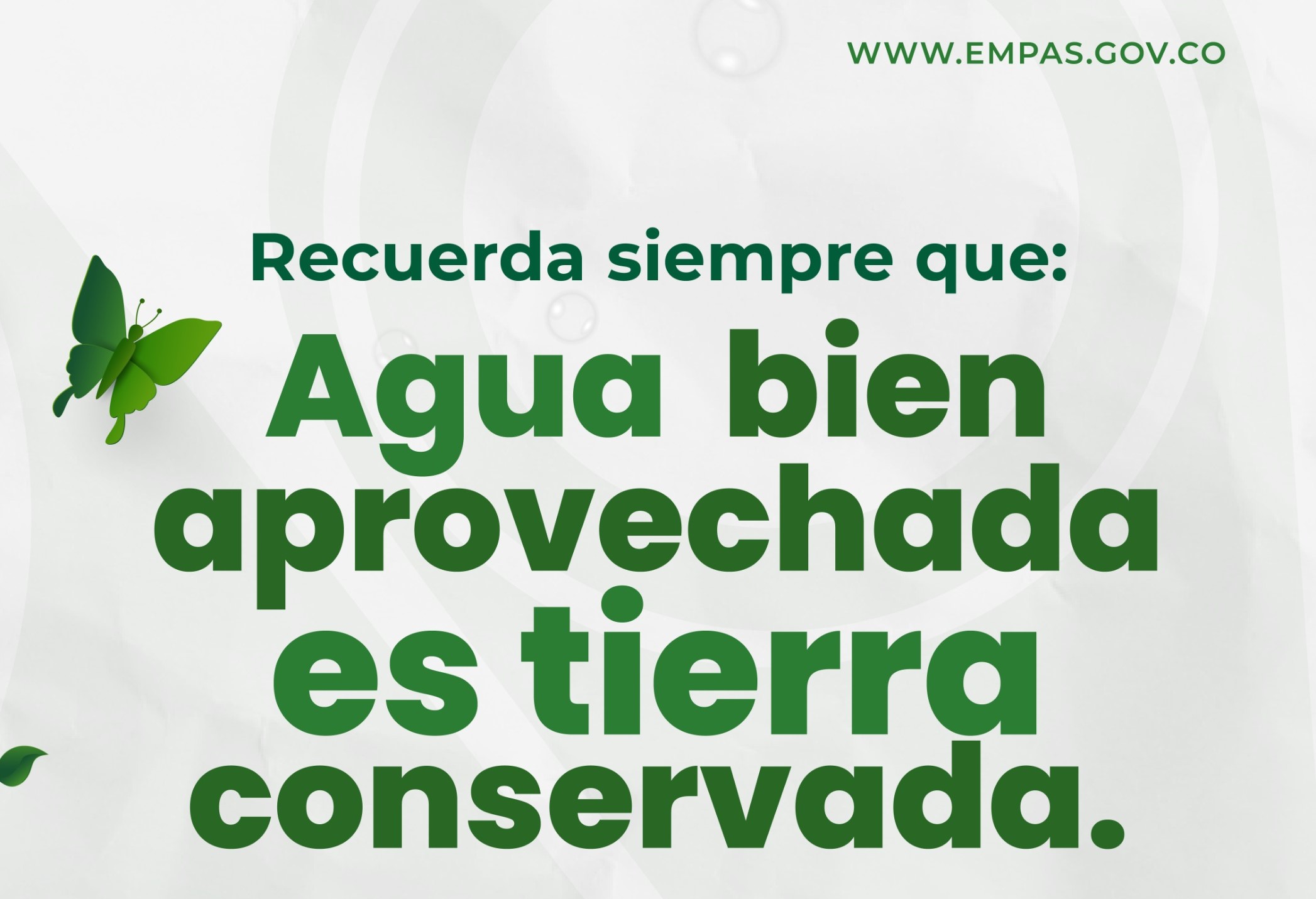 WhatsApp Image 2025-03-21 at 12.26.36 PM (2)